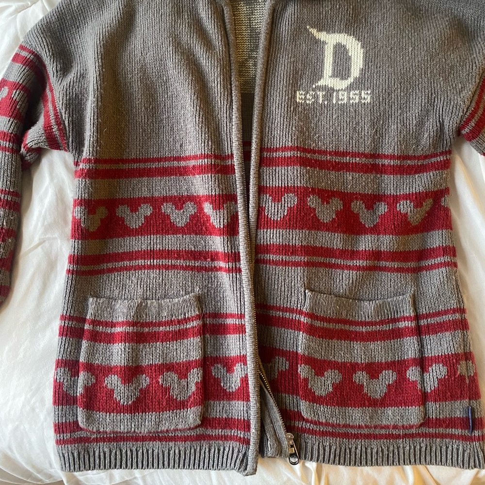 Spirit jersey Disneyland zip up